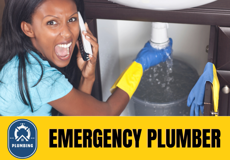 emergency plumber Rainham