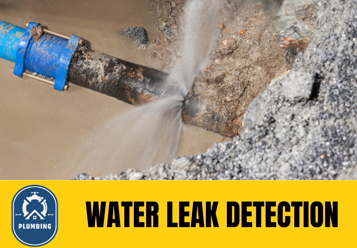 leak detection Rainham